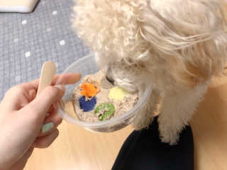 가을어멈님이 올린 리뷰 사진 4
