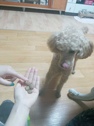 포포님이 올린 리뷰 사진 3