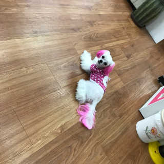 댕민님이 올린 리뷰 사진 2