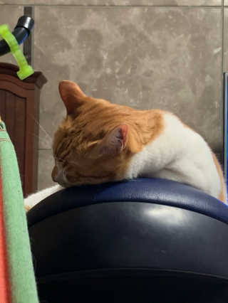 ollie님이 올린 리뷰 사진 2