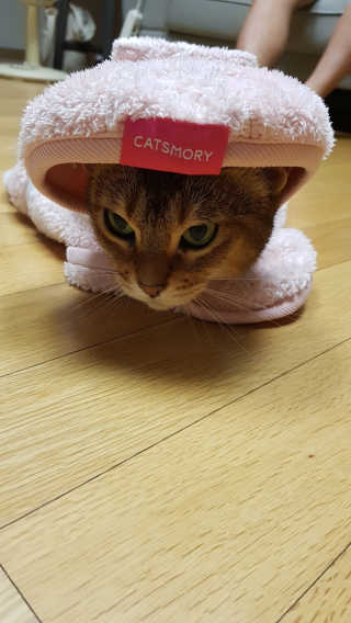 반짝님이 올린 리뷰 사진 1
