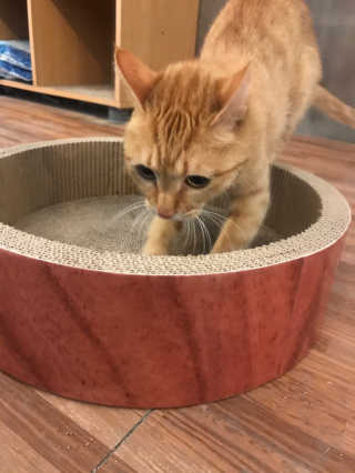 조언니님이 올린 리뷰 사진 3