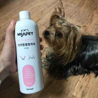 이진님이 올린 리뷰 사진 2