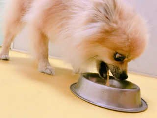 유솔님이 올린 리뷰 사진 4
