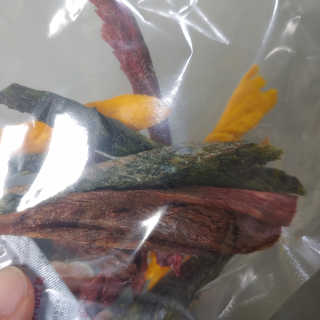 benny님이 올린 리뷰 사진 3