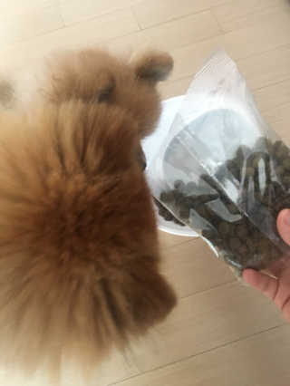 감자링님이 올린 리뷰 사진 2