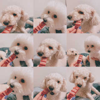 콜라맘마님이 올린 리뷰 사진 1