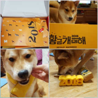 컴백08리터님이 올린 리뷰 사진 1