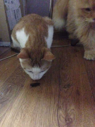 lovelee님이 올린 리뷰 사진 1