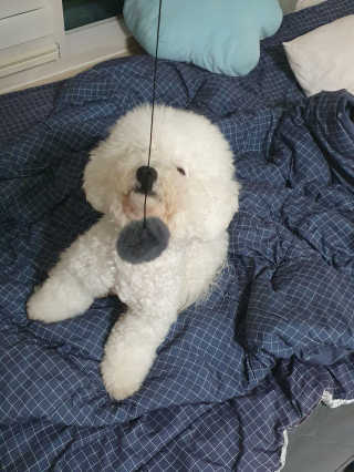 heeee님이 올린 리뷰 사진 2
