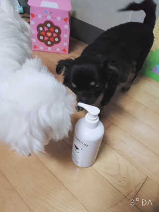 hyojin`s님이 올린 리뷰 사진 3