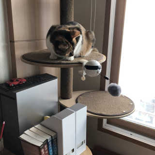 곰같은여우님이 올린 리뷰 사진 2