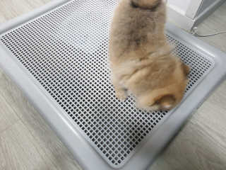 한서윤님이 올린 리뷰 사진 3