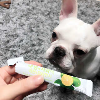 불독키우는개엄마❤️님이 올린 리뷰 사진 1