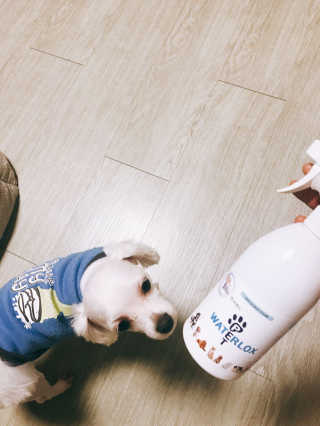 Underwater님이 올린 리뷰 사진 2
