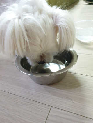 엣헴님이 올린 리뷰 사진 3