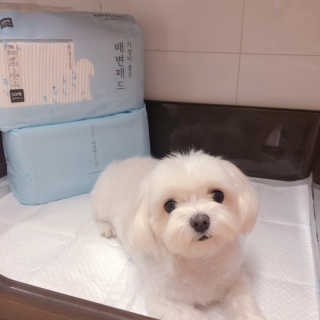 콩순이엄마님이 올린 리뷰 사진 2