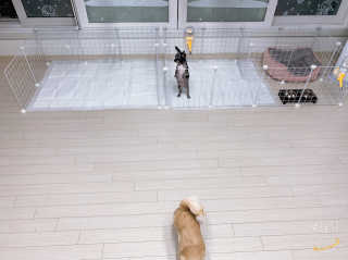채리야님이 올린 리뷰 사진 2