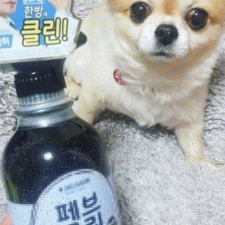 더블유드레스룸 페브클린 500ml — 5점을 준 리뷰어가 2018년 11월 올린 사용 사진