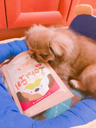 빈님님이 올린 리뷰 사진 4