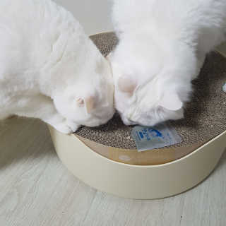 미네미님이 올린 리뷰 사진 3
