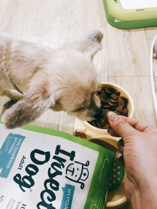 말랑님이 올린 리뷰 사진 1
