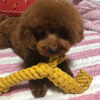 깅쪼니님이 올린 리뷰 사진 3