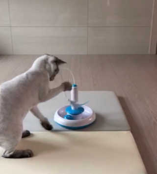 라뷰뿅님이 올린 리뷰 사진 1