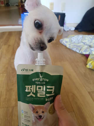 [빙그레] 에버그로 생유산균 1봉（10포입）+펫밀크2팩 — 5점을 준 리뷰어가 2019년 3월 올린 사용 사진