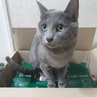 여온님이 올린 리뷰 사진 2