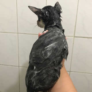 홍피님이 올린 리뷰 사진 2