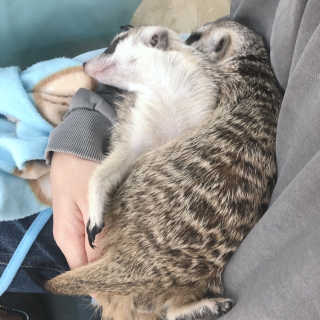 얌님이 올린 리뷰 사진 1