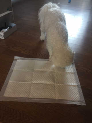 김승희님이 올린 리뷰 사진 2