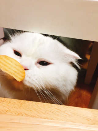 s0ngh2님이 올린 리뷰 사진 4