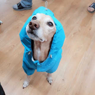 이초롱님이 올린 리뷰 사진 2
