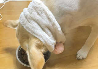 솜희님이 올린 리뷰 사진 3