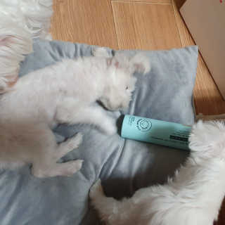 숮이님이 올린 리뷰 사진 3
