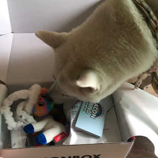 BooheeCho님이 올린 리뷰 사진 3