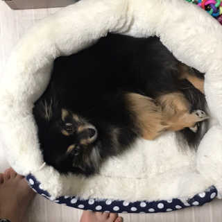 sezy님이 올린 리뷰 사진 3