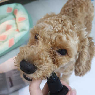 chym님이 올린 리뷰 사진 4