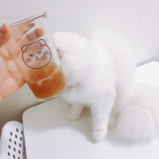 공실이님이 올린 리뷰 사진 3