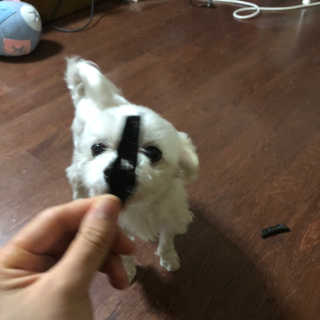 유니뀨님이 올린 리뷰 사진 1