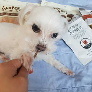 상선언니님이 올린 리뷰 사진 1