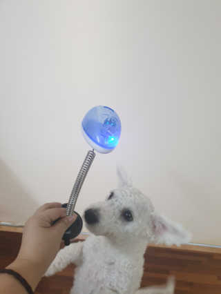 나리니님이 올린 리뷰 사진 3
