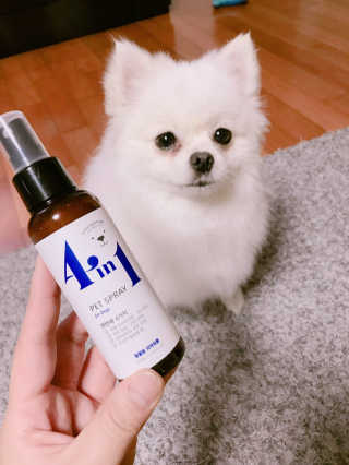 강아지스토리 포인원 모이스처 미스트 100ml — 4.5점을 준 리뷰어가 2018년 11월 올린 사용 사진