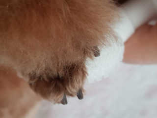 쪼꼬짱님이 올린 리뷰 사진 3
