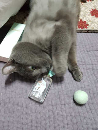 옹알이님이 올린 리뷰 사진 4