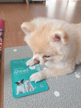 bangwoori님이 올린 리뷰 사진 2