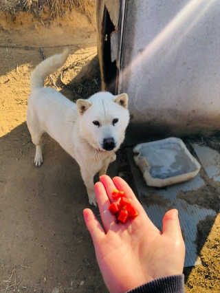 영진님이 올린 리뷰 사진 4