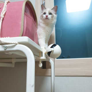 subi秀妃님이 올린 리뷰 사진 3